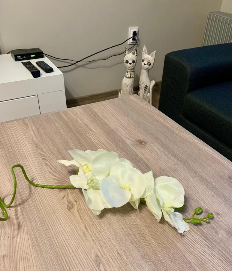 ,,Адела”-Апартамент За Гости Velingrad Dış mekan fotoğraf